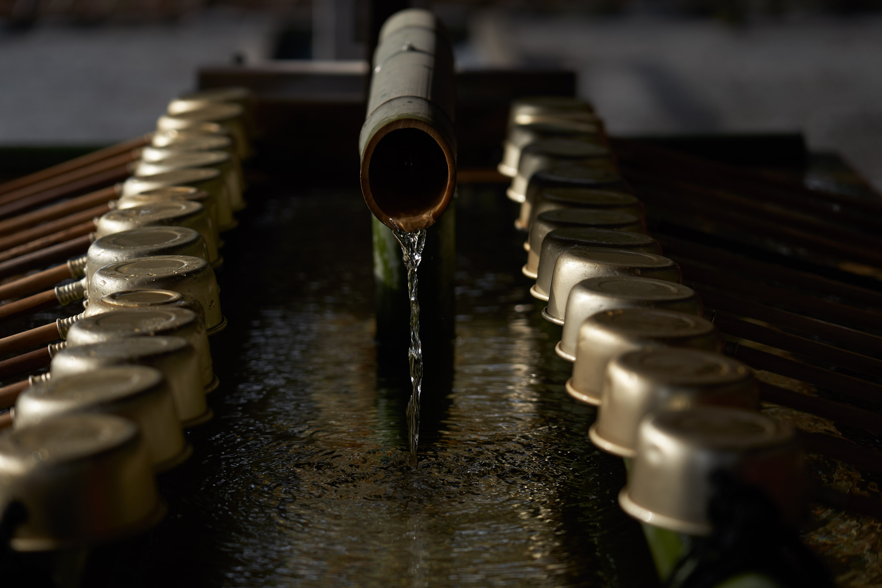 手水舎で身を清め、いよいよ本宮へ