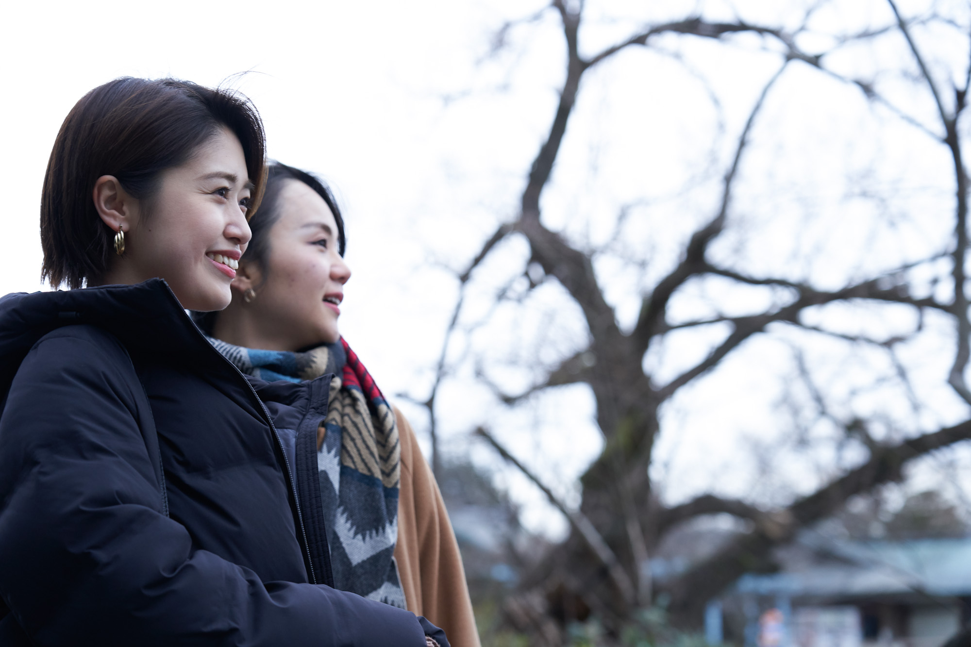 輝く池の水面、源平池の美しさを知る