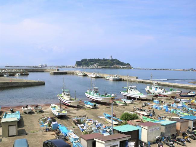 腰越漁港　昼食（滞在時間約55分）