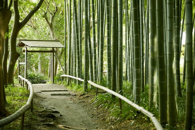 英勝寺（滞在時間約35分）