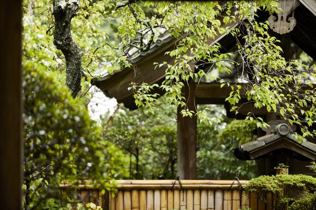 寿福寺（滞在時間約35分）