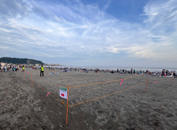 砂浜での花火鑑賞＆鎌倉らしい返礼品もゲットしたい！