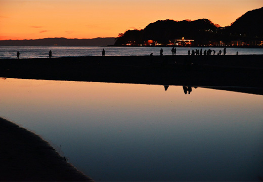 フォトライブラリー