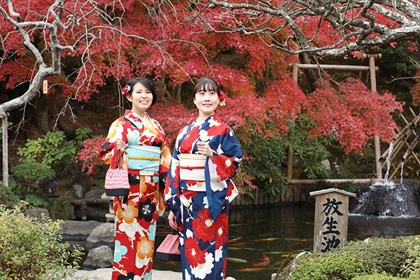 境内のいたるところで季節の花々が迎えてくれます