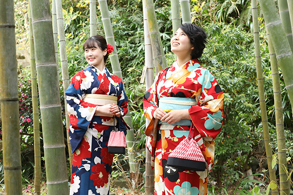 竹林の中の散策はとっても気持ちが良いもんです。