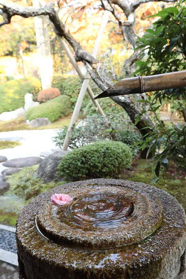 耳を傾けると水琴窟の神秘的な音色が広がります。