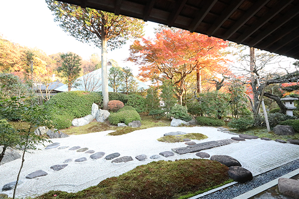 鎌倉五山の第五位の浄妙寺。茶室からは枯山水の庭園が眺められます。しっかり撮影するなら縁側まで出るのがおすすめです。