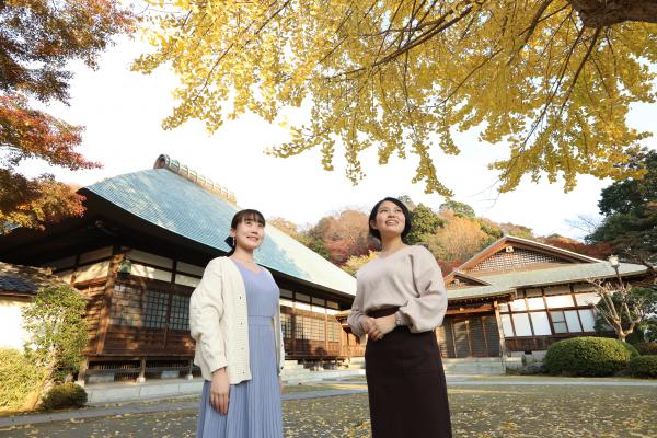 境内にはボタンやウメ、サルスベリなどが見られ、秋にはジュウガツザクラも楽しめます。季節を通して花々が迎えてくれます