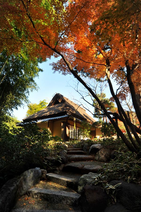 この建物は国指定の重要文化財。日によっては建物見学（入園料込み1,500円 、要予約）が行われ、細やかな技巧を施された障子や襖を見ることができます。