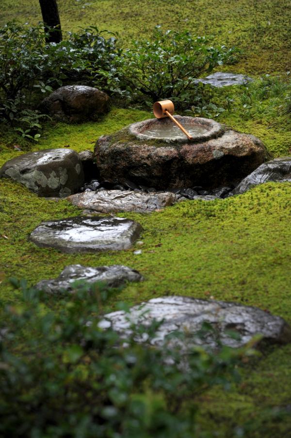 苔むした庭園に飛び石やつくばいが設けられています