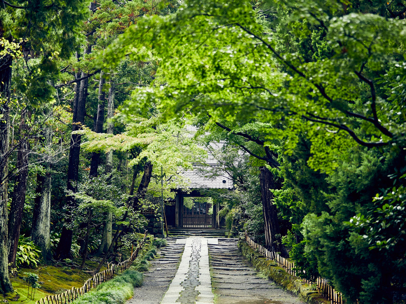 寿福寺