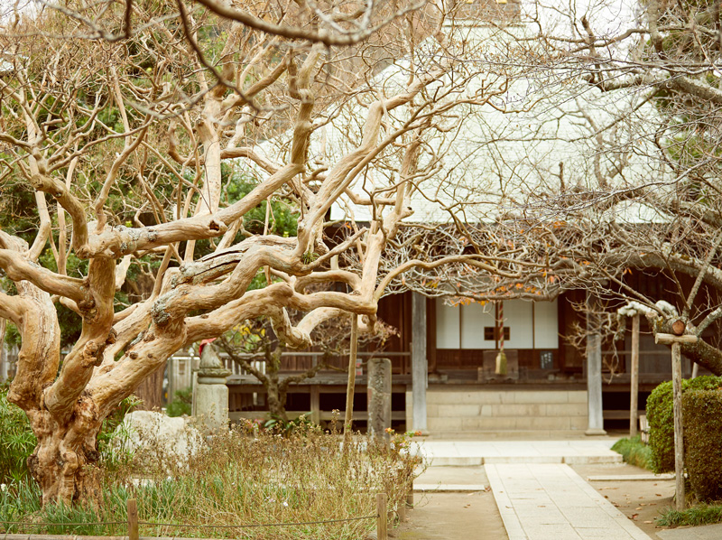 極楽寺