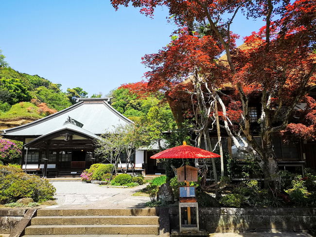 海蔵寺 - 鎌倉市観光協会 | 時を楽しむ、旅がある。～鎌倉観光公式ガイド～