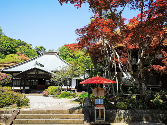 海蔵寺