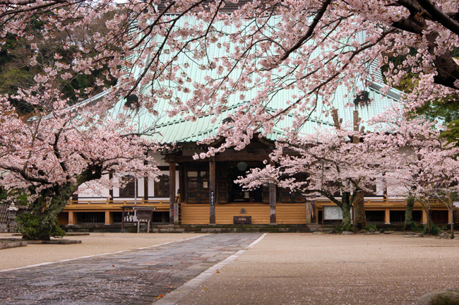 光明寺