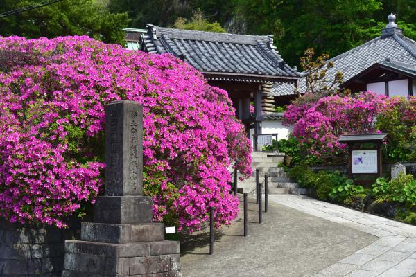 安養院