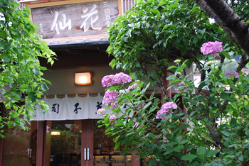 三日月堂花仙