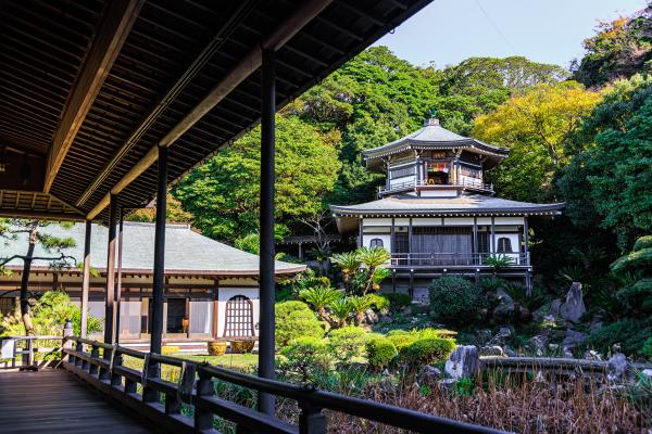 開山堂の裏手には記主庭園という極楽浄土をイメージした蓮池の庭園が広がり、夏には淡いピンクや白い花を咲かせます。池のほとりの建物は大聖閣。第1・第3日曜や年間行事が行われる日、2階の扉が開けられ、後光を放つ阿弥陀三尊が回廊から拝めます。