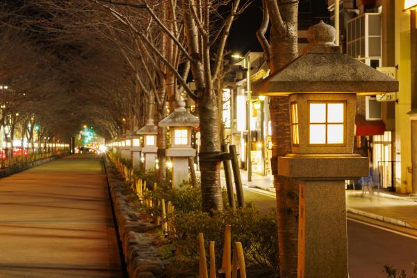 若宮大路の中央の写真