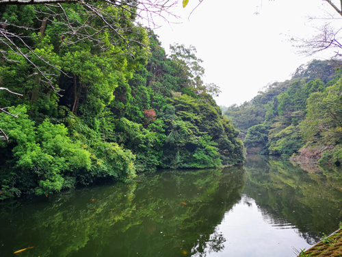 散在ガ池森林公園