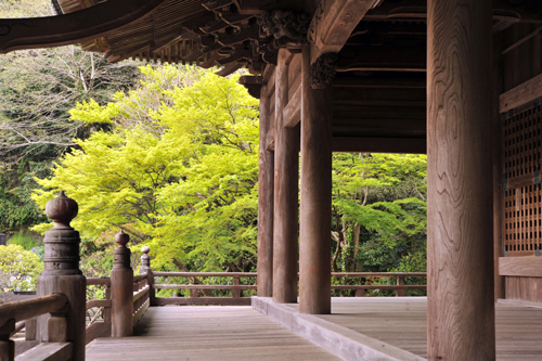 妙本寺