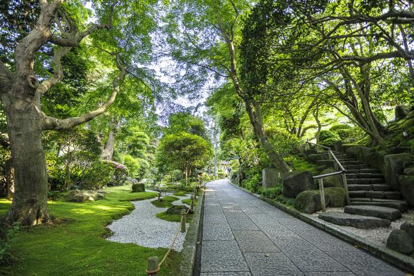 ほうこくじ山門過ぎ　枯山水