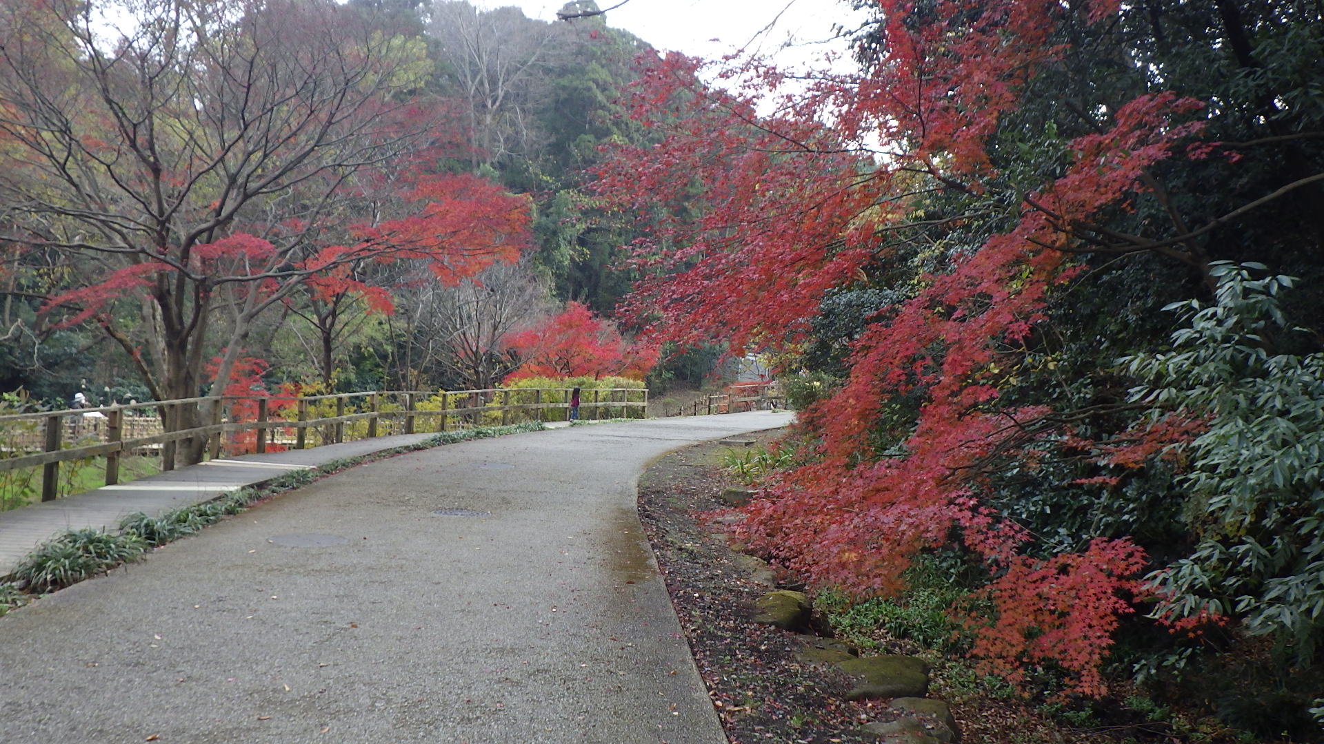 公園協会