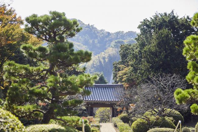 浄妙寺