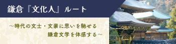 文化人ルートのバナー画像