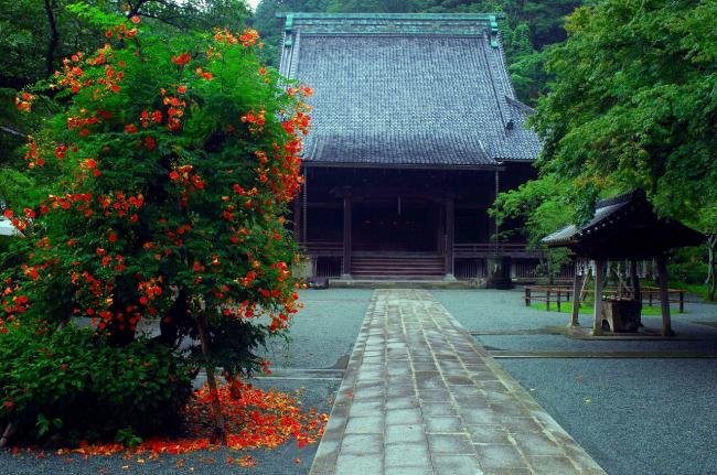 妙本寺