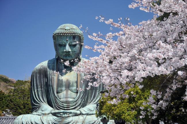 大仏の写真