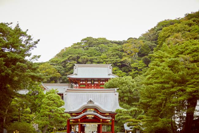 鶴岡八幡宮