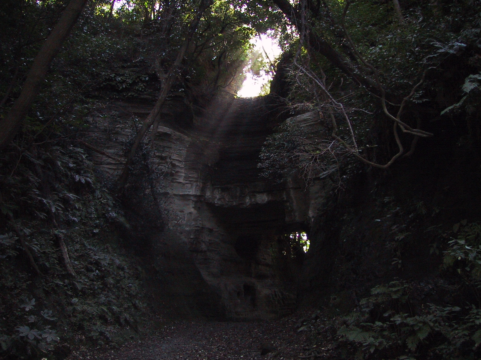 釈迦堂口遺跡