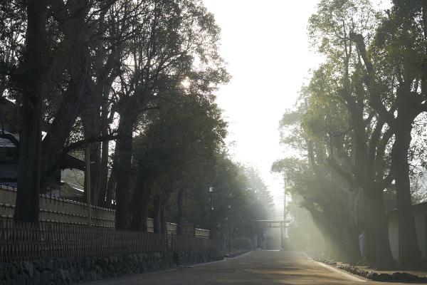 鶴岡八幡宮の参道の写真