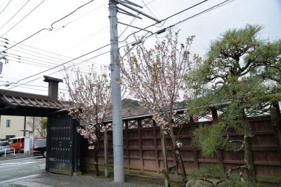 本覚寺0401