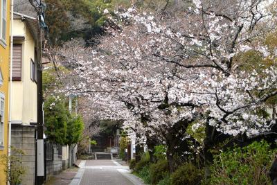 法華堂跡0401