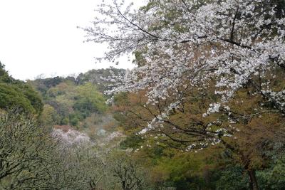 瑞泉寺0401
