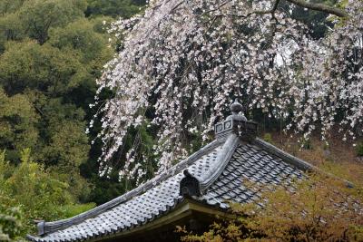 瑞泉寺0401