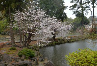 円覚寺0401