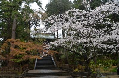 円覚寺0401