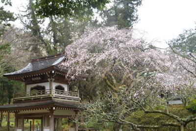 浄智寺0401