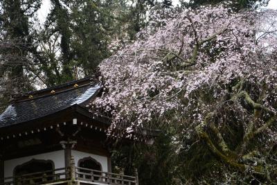 浄智寺0401