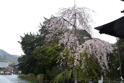 建長寺0401