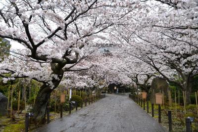 建長寺0401
