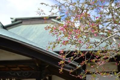 海蔵寺0328