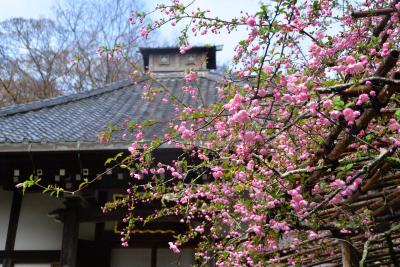 光則寺0328