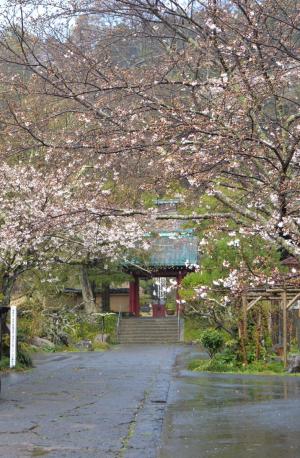 光則寺0328