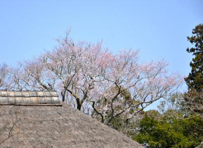 浄智寺