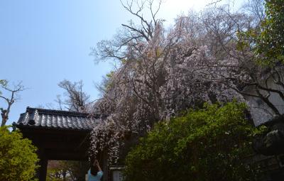 安国論寺0327