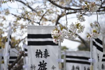 鶴岡八幡宮0318